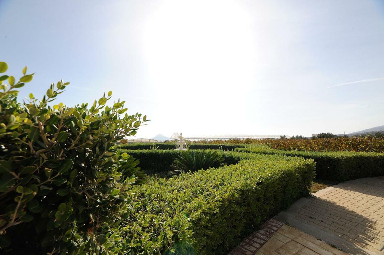 Villa Busho Naoussa Esterno foto